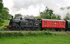 IMG_4319-crop.JPG