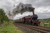 45699 1a.jpg