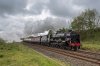 46115 1a.jpg