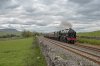 46115 1b.jpg