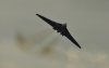 Vulcan 14-06-2015 050.JPG