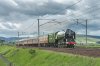 DSC_1293 A.jpg