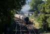 35028 Addison Gdns 1.jpg