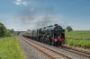 46115 1b.jpg