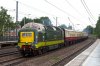 D9009.jpg