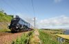 DSC_3011_watermarked_small.jpg