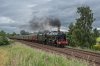46115 3b.jpg
