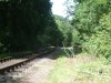 DSCF2911.JPG