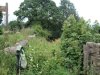 DSCF2921.JPG