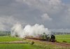Duchess no1.jpg