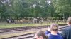 WP_20150801_15_32_15_Pro.jpg