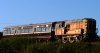 P1050817-crop (Medium).JPG