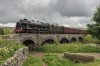 46115 1b.jpg