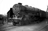 46112.jpg