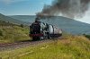DSC_1541.jpg