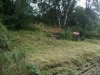DSCF2973.JPG