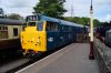 DSC07975.JPG