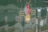 DSC07988.JPG