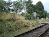 DSCF2988.JPG