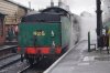 DSC07767.JPG