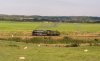 DSC_4141__D800 46100 Eardington bank 100915.JPG