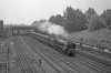 20th July 1963 Kenton. 46237 on the 1140 ex Euston Lakes Express..jpg