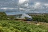 DSC_1619.jpg