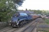 IMG_8097prs.jpg