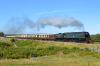 DSC_0183.png