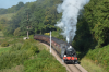 DSC_0211 (1).png