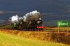 _DSR4389_DxO_2_01.JPG