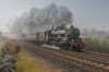 45231 1b.jpg