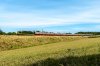 DSC_5995.jpg