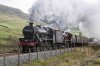 DSC_16832.jpg