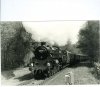 75027 Lindfield woods-page-001.jpg