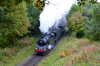 DSC_1074.png