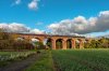 DSC_1924.jpg