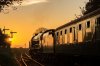 RN4388-3.jpg