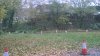 WP_20151106_11_31_43_Pro.jpg