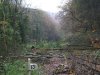 DSCF3032.JPG