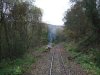 DSCF3042.JPG