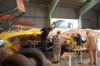 DSC_0314.JPG