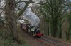 DSC_2250.jpg