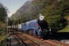 4498, Wilpshire. 3-5-80_2_1.jpg