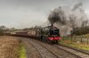46100 LTR 1b.jpg