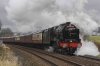DSC_10240.jpg