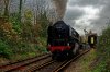 DSS_9518_DxO_2_marked_01.JPG