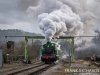 DSC_2350-0.jpg
