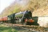 3672 approaches Goathland.jpg