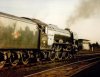 Scotsman sunset small.jpg